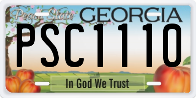 GA license plate PSC1110