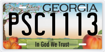 GA license plate PSC1113