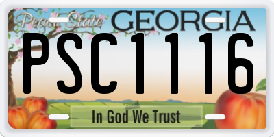 GA license plate PSC1116