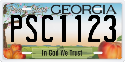 GA license plate PSC1123