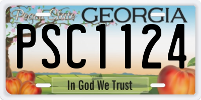 GA license plate PSC1124