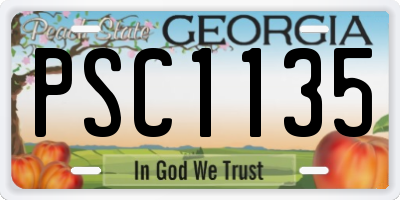 GA license plate PSC1135