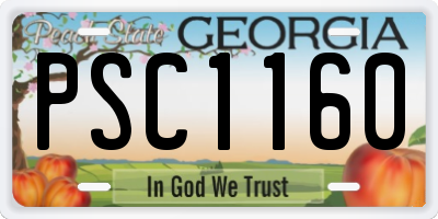 GA license plate PSC1160