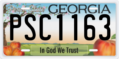 GA license plate PSC1163
