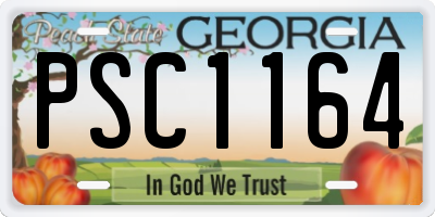 GA license plate PSC1164