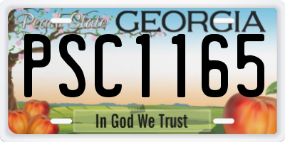 GA license plate PSC1165