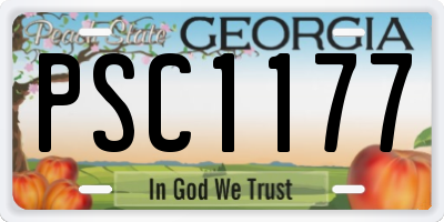GA license plate PSC1177