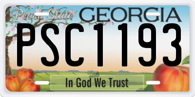 GA license plate PSC1193
