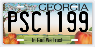 GA license plate PSC1199