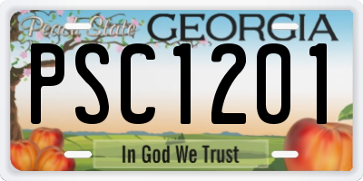GA license plate PSC1201