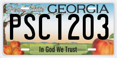 GA license plate PSC1203