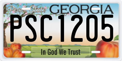 GA license plate PSC1205