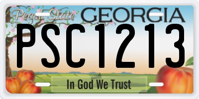 GA license plate PSC1213