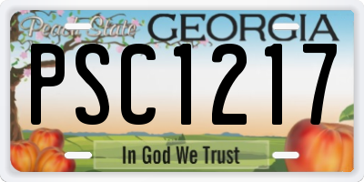 GA license plate PSC1217