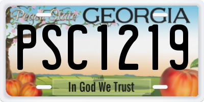 GA license plate PSC1219