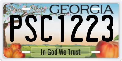 GA license plate PSC1223