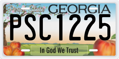 GA license plate PSC1225