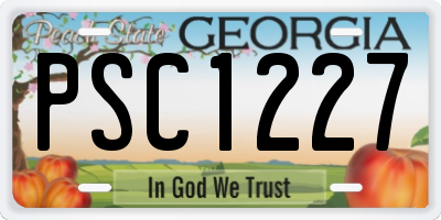 GA license plate PSC1227