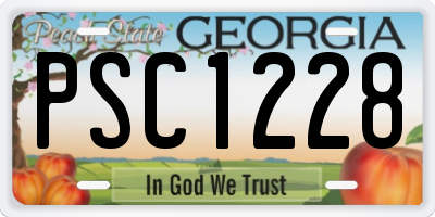 GA license plate PSC1228