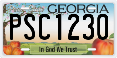 GA license plate PSC1230