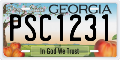 GA license plate PSC1231
