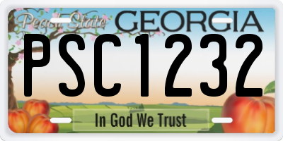 GA license plate PSC1232