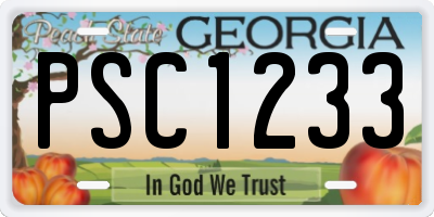 GA license plate PSC1233