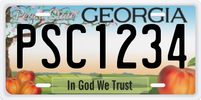 GA license plate PSC1234