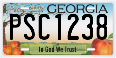 GA license plate PSC1238