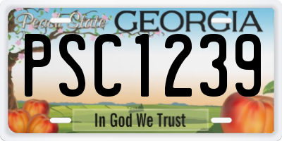 GA license plate PSC1239