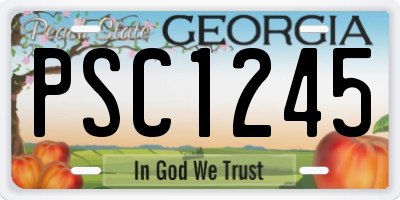 GA license plate PSC1245