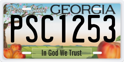 GA license plate PSC1253
