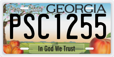 GA license plate PSC1255