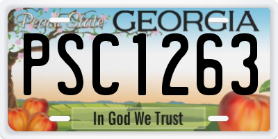 GA license plate PSC1263