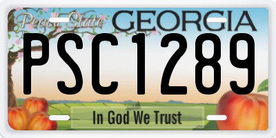 GA license plate PSC1289