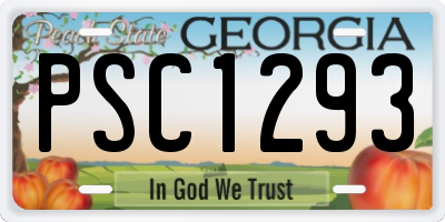 GA license plate PSC1293