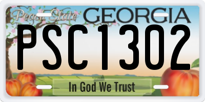 GA license plate PSC1302