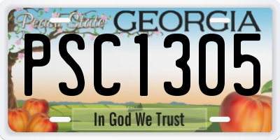 GA license plate PSC1305
