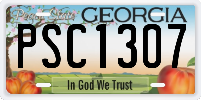 GA license plate PSC1307