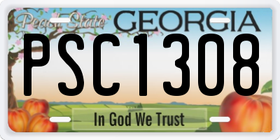 GA license plate PSC1308