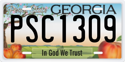 GA license plate PSC1309
