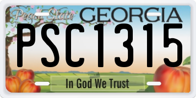 GA license plate PSC1315