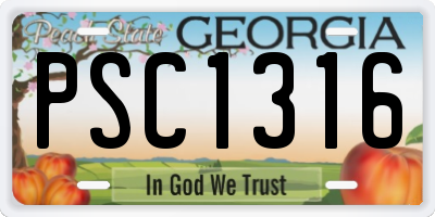 GA license plate PSC1316