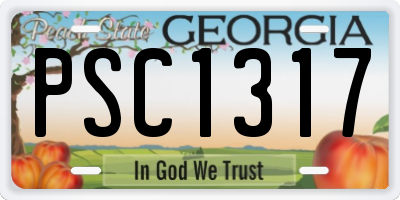 GA license plate PSC1317
