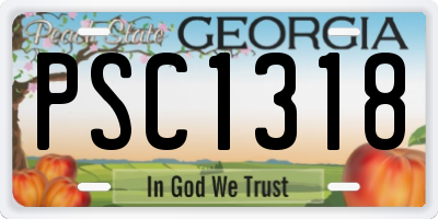 GA license plate PSC1318
