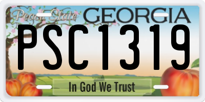 GA license plate PSC1319