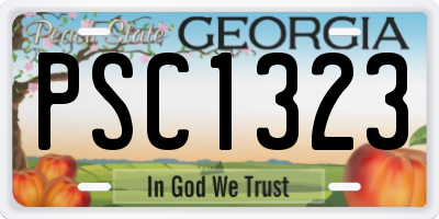 GA license plate PSC1323