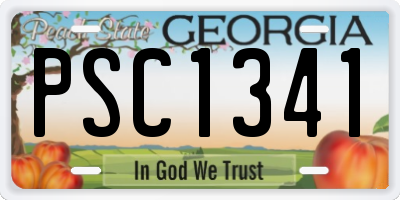 GA license plate PSC1341