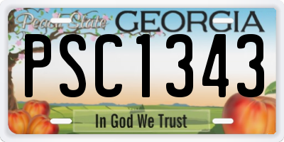 GA license plate PSC1343