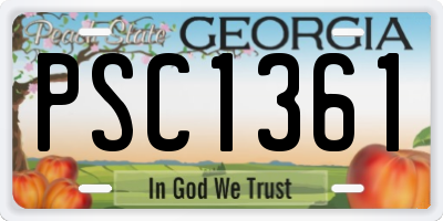 GA license plate PSC1361
